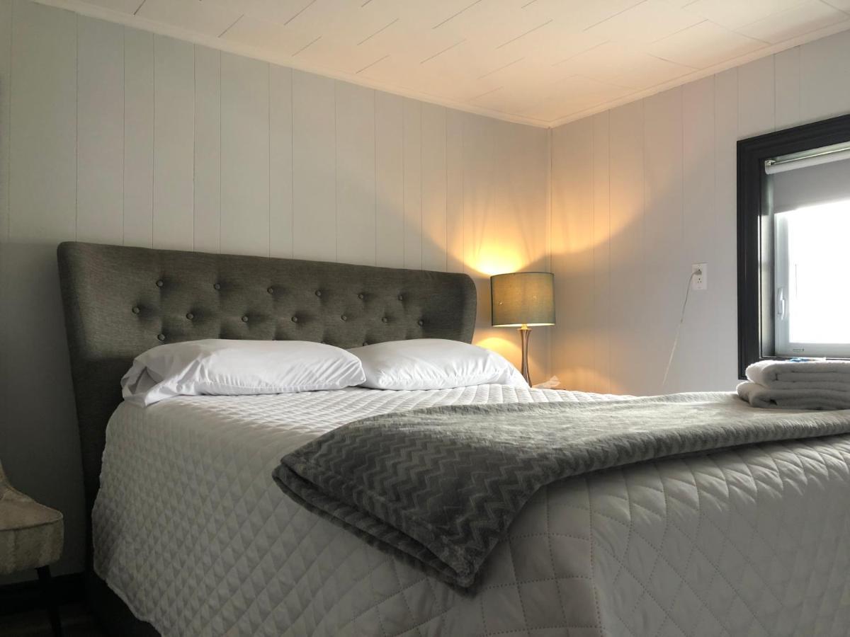 Alma'S Cape Shore Cottage! Your Home Away From Home! Bonavista Eksteriør billede