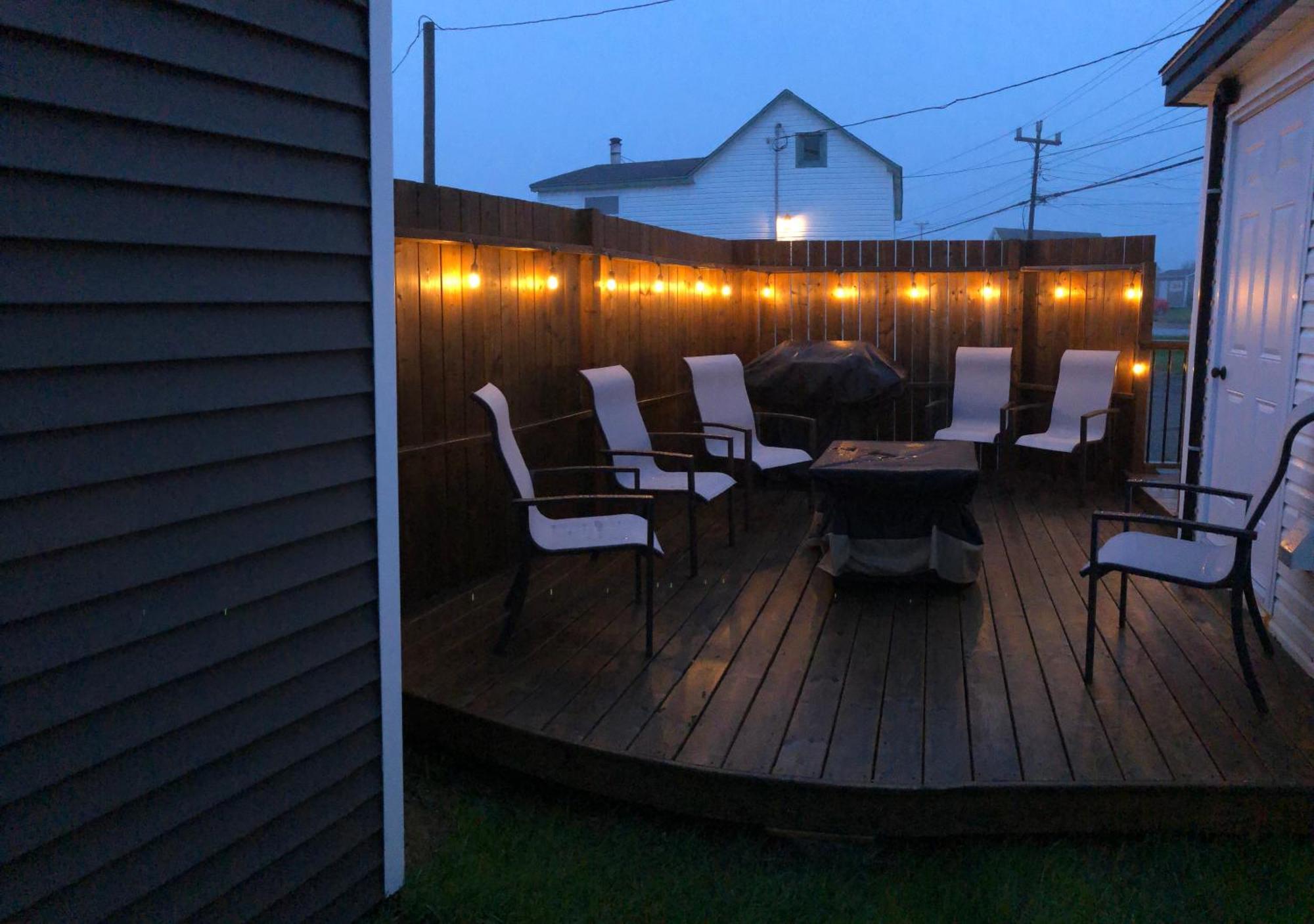 Alma'S Cape Shore Cottage! Your Home Away From Home! Bonavista Eksteriør billede