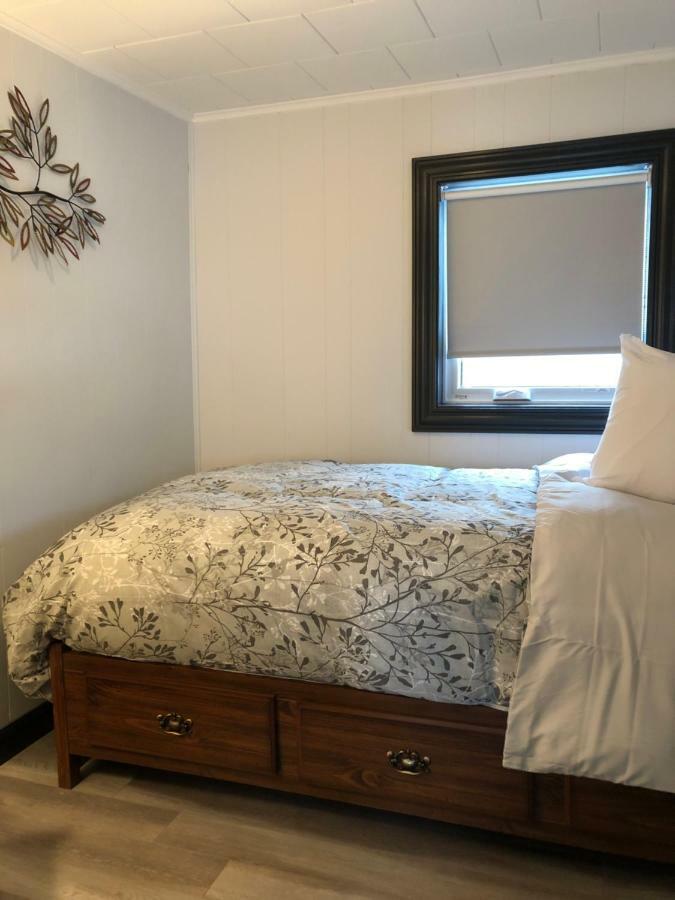 Alma'S Cape Shore Cottage! Your Home Away From Home! Bonavista Eksteriør billede
