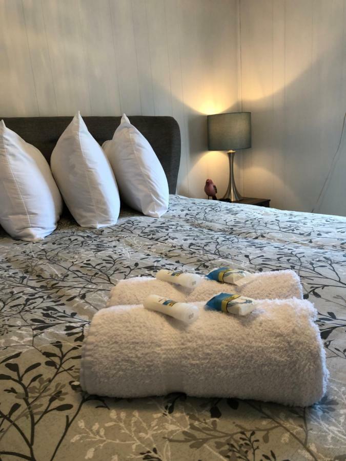Alma'S Cape Shore Cottage! Your Home Away From Home! Bonavista Eksteriør billede